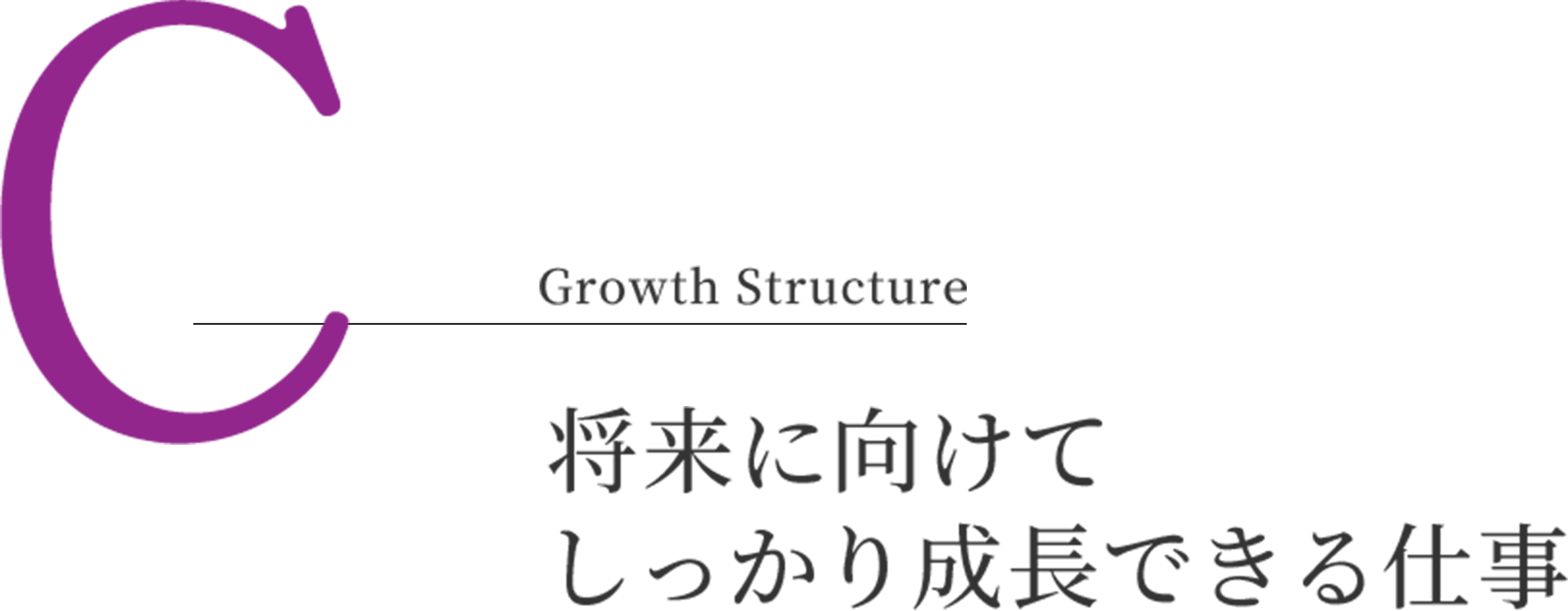 C - Growth Structure 将来に向けてしっかり成長できる仕事